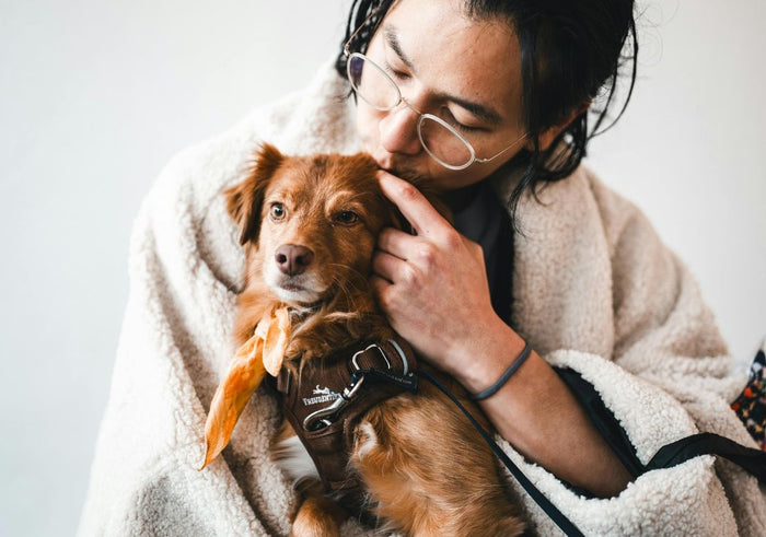 Les animaux de compagnie sont-ils bons pour la santé ?