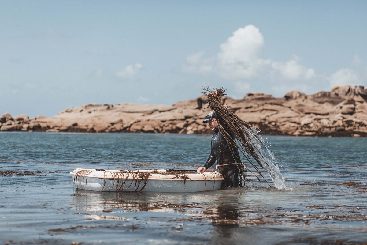 Bateau de récolte d'algues en mer